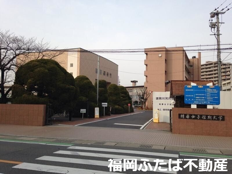 大学・短大　私立精華女子短期大学（大学・短大）まで870m
