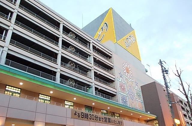 その他　アピタまで300m