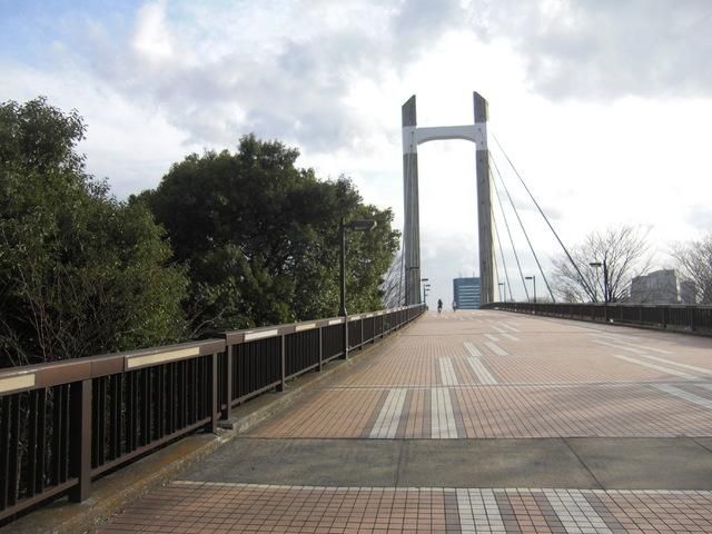 公園　木場公園（公園）まで100m