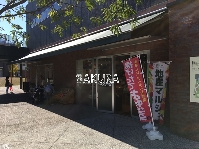 スーパー　地産マルシェ 新川崎店（スーパー）まで501m