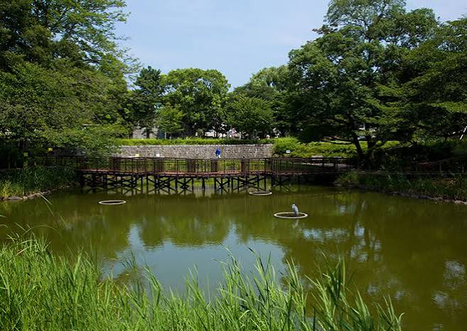公園　文庫の森（公園）まで340m