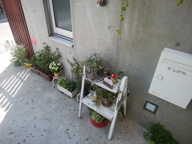 その他　植栽