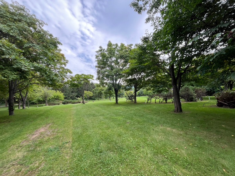 公園　星観緑地（公園）まで4356m
