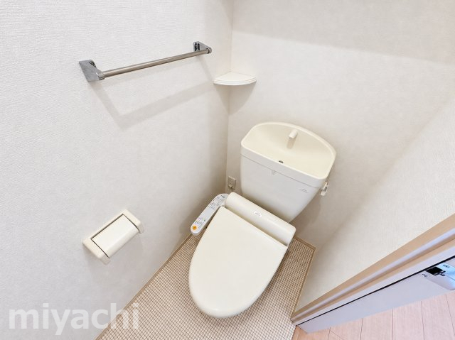 ＪＲ高徳線 佐古駅 徒歩26分 2階建 築13年のトイレ写真