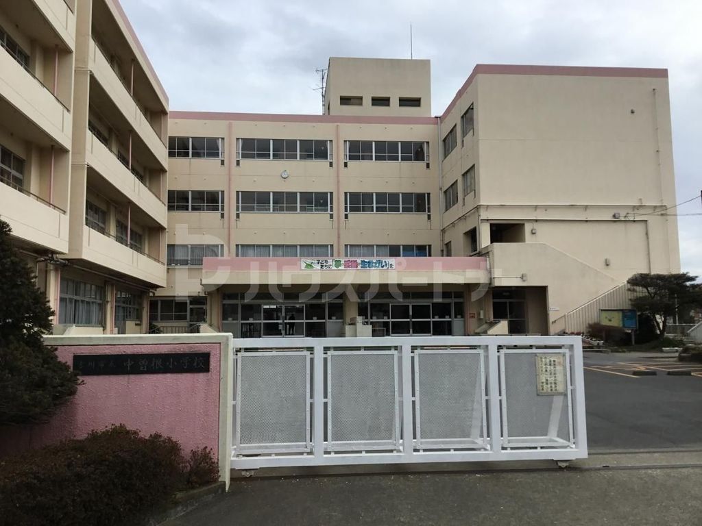 小学校　吉川市立中曽根小学校（小学校）まで590m