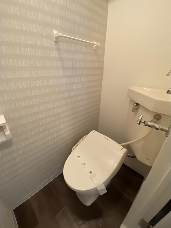 ビッグバーンズマンション本通のトイレ写真