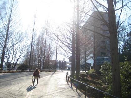 【吉原ハイツの大学・短大】