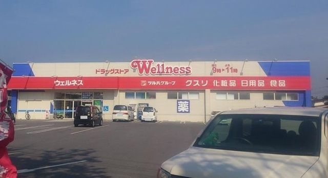 ドラックストア　ウェルネス米原店（ドラッグストア）まで900m