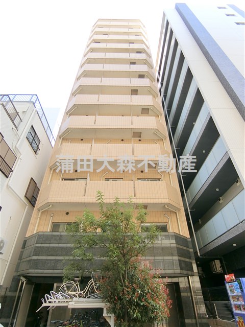 建物外観　2008年1月築　RC鉄筋コンクリート造地上13階建て1K
