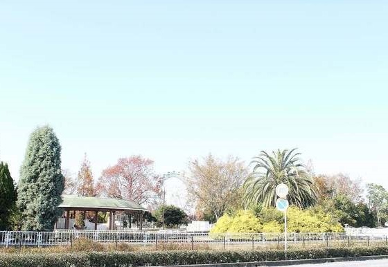 公園　堀内公園（公園）まで450m