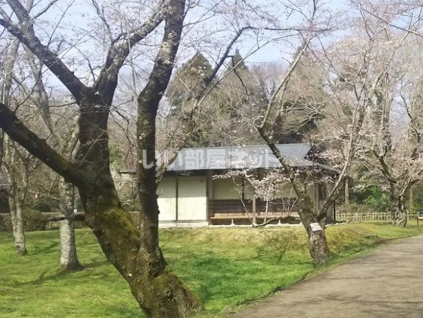 公園　佐倉城址公園（公園）まで1352m