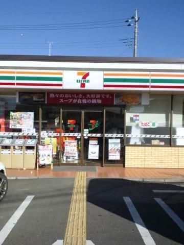 コンビニ　セブンイレブンさいたま東大宮7丁目店（コンビニ）まで487m