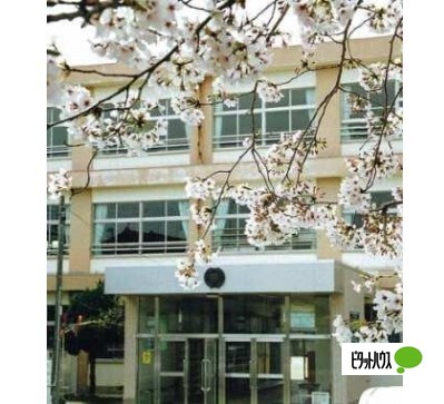 小学校　和歌山市立野崎小学校（小学校）まで395m