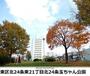 公園　玉ちゃん公園（公園）まで272m