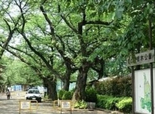 公園　羽根木小緑地（公園）まで691m