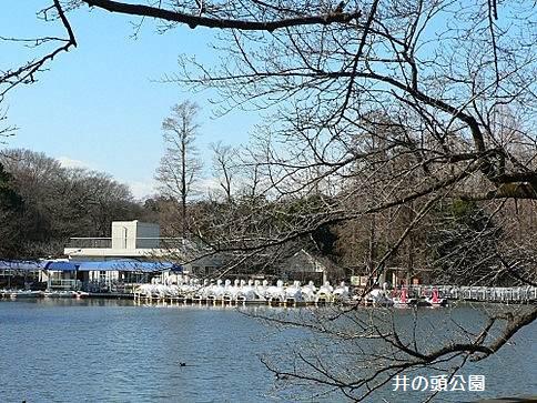 公園　井の頭公園（公園）まで3056m