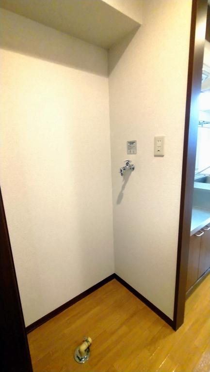 その他部屋・スペース　室内洗濯機置き場もあります♪