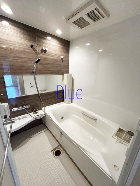 バス・シャワールーム　同じ仕様