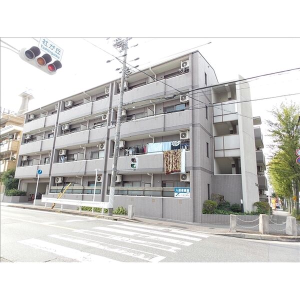 建物外観　コンクリートうちっぱなしのオシャレな外観