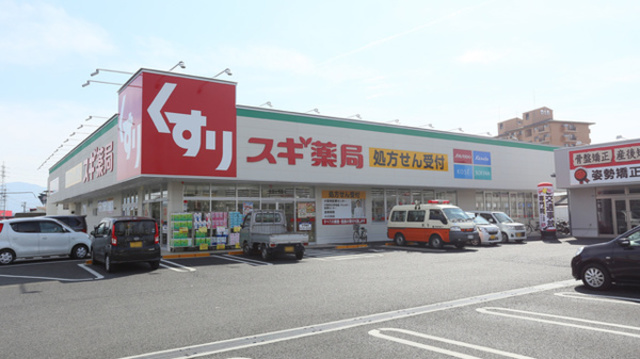 ドラックストア　スギ薬局富田林甲田店（ドラッグストア）まで896m