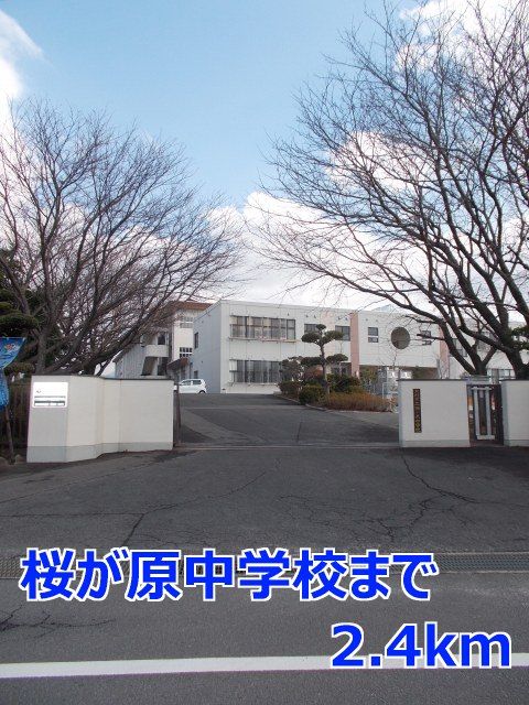 中学校　桜が原中学校（中学校）まで2400m