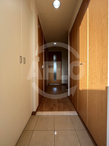 玄関　プロシード弁天町　玄関