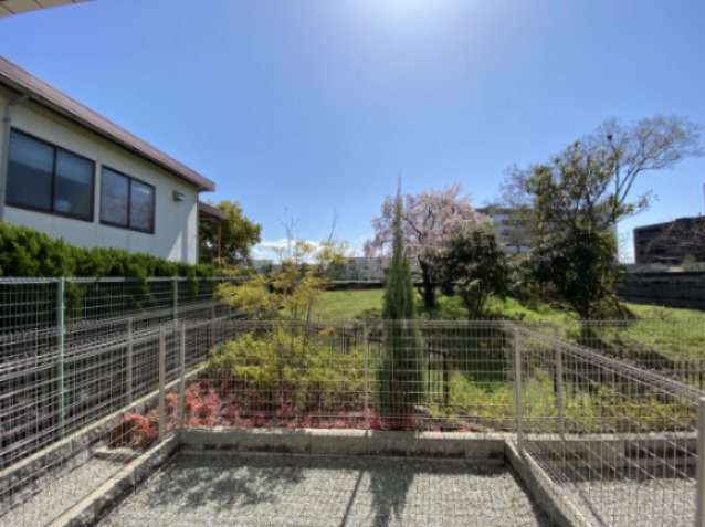 眺望　落ち着きのある眺望が広がっております