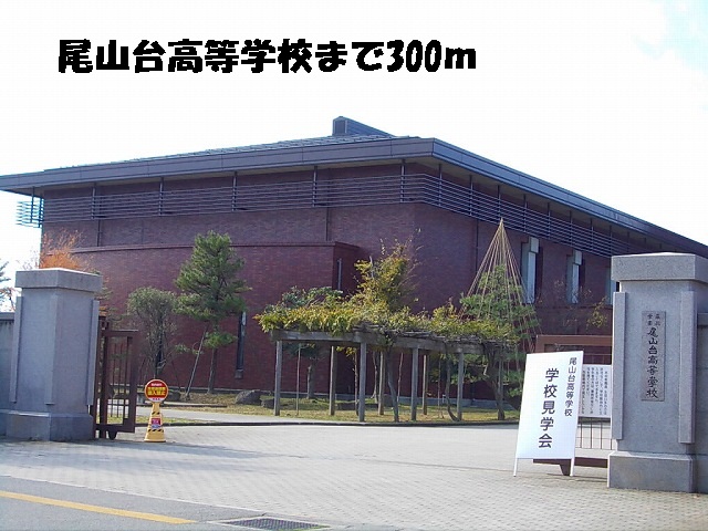 高校・高専　尾山台高等学校（高校・高専）まで300m