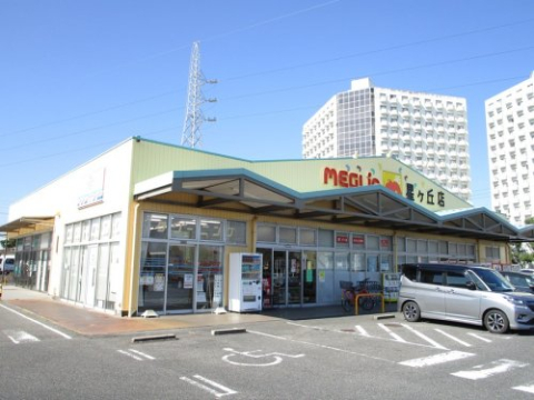 スーパー　メグリアミニ　星ヶ丘店（スーパー）まで2400m