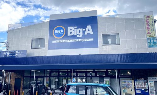 スーパー　ビッグ・エー江戸川本一色店（スーパー）まで1174m
