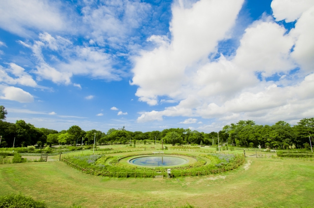 公園　服部緑地（公園）まで575m