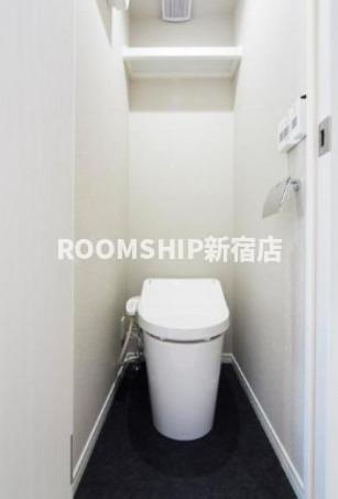 東急目黒線 洗足駅 徒歩9分 2階建 築5年のトイレ写真