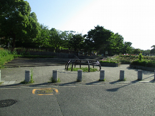 【藤セルシオの公園】