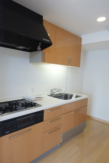 キッチン　★《見学予約受け付け中》設備充実のハイグレード賃貸マンショ