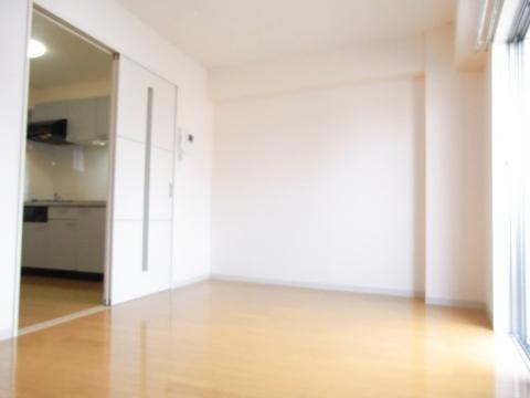 セラフィック・ＩＷＴ　居室・リビング　洋室