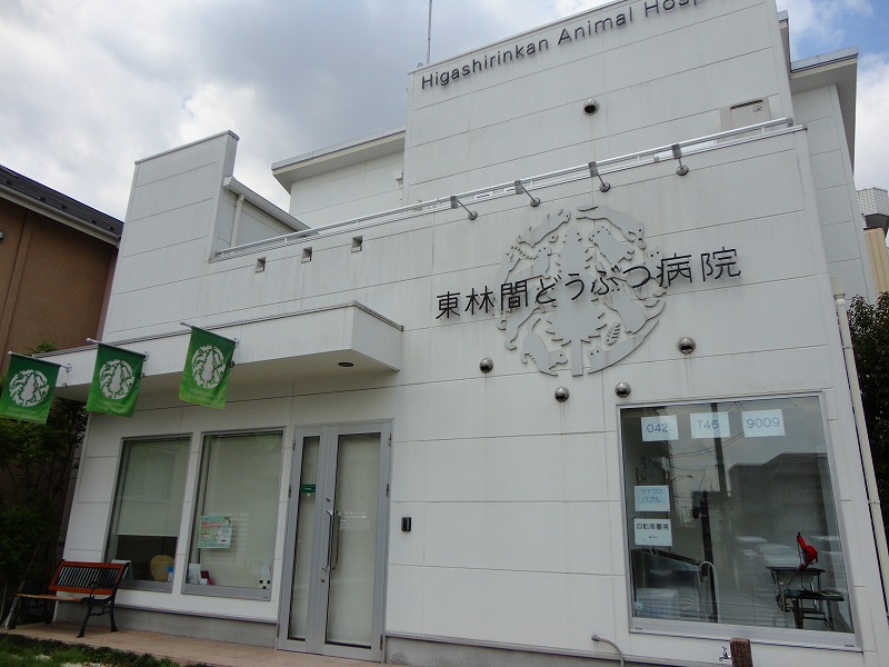 病院　東林間どうぶつ病院（病院）まで308m
