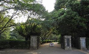 公園　駒場野公園（公園）まで940m