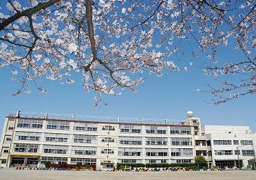小学校　川口市立上青木小学校（小学校）まで294m