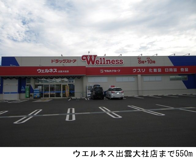 ドラックストア　ウエルネス出雲大社店（ドラッグストア）まで550m