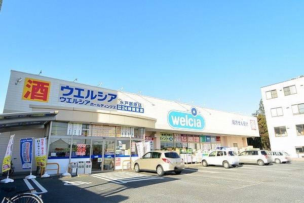 ドラックストア　ウエルシア水戸新原店（ドラッグストア）まで744m