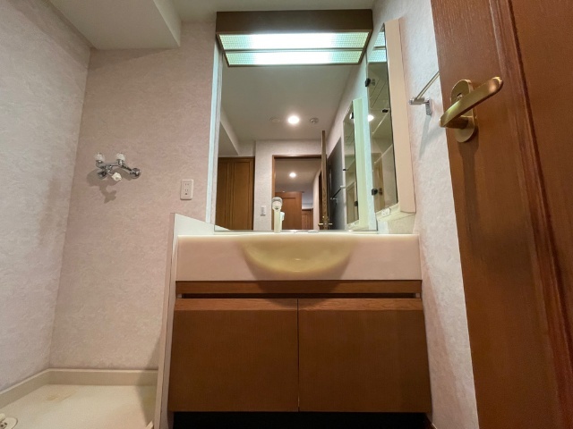 洗面設備　※同タイプ別室のお写真です。