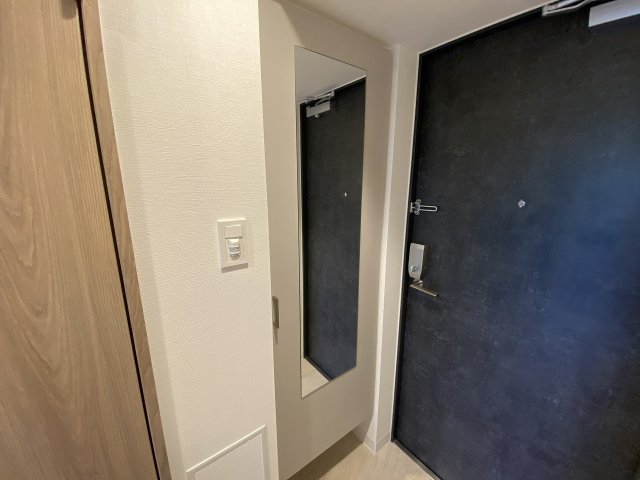 玄関　※カラータイプは写真と異なります。