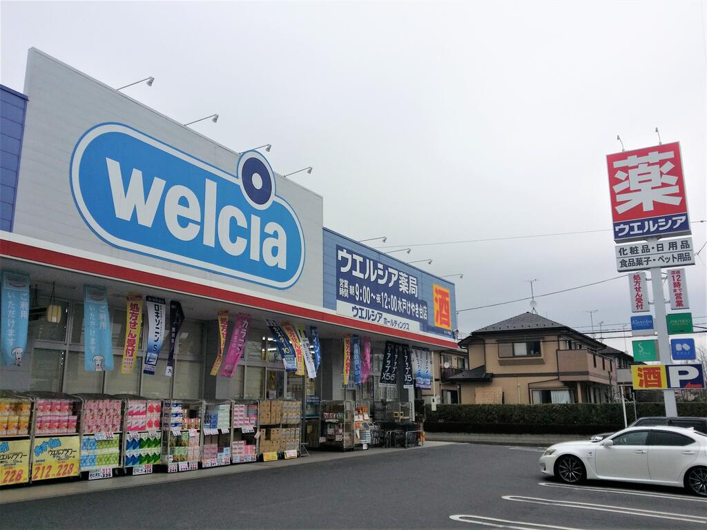 ドラックストア　ウエルシア水戸けやき台店（ドラッグストア）まで1215m