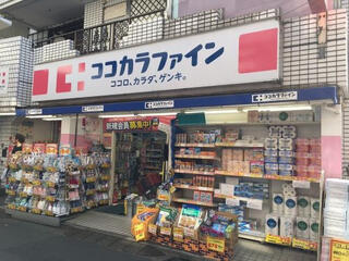 ドラックストア　ココカラファイン二子新地店（ドラッグストア）まで537m