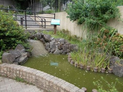 公園　本町学園みどりの丘（公園）まで203m