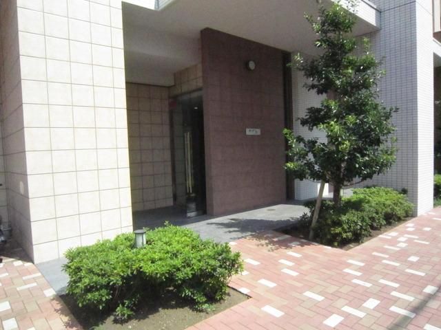 エントランス　植栽