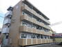  4階 築11年3ヶ月の賃貸物件