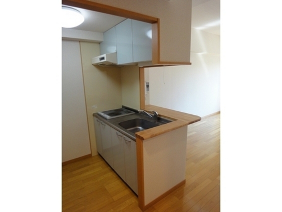 キッチン　※別号室の参考写真です。