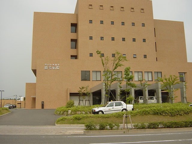 病院　やよいがおか鹿毛病院（病院）まで368m