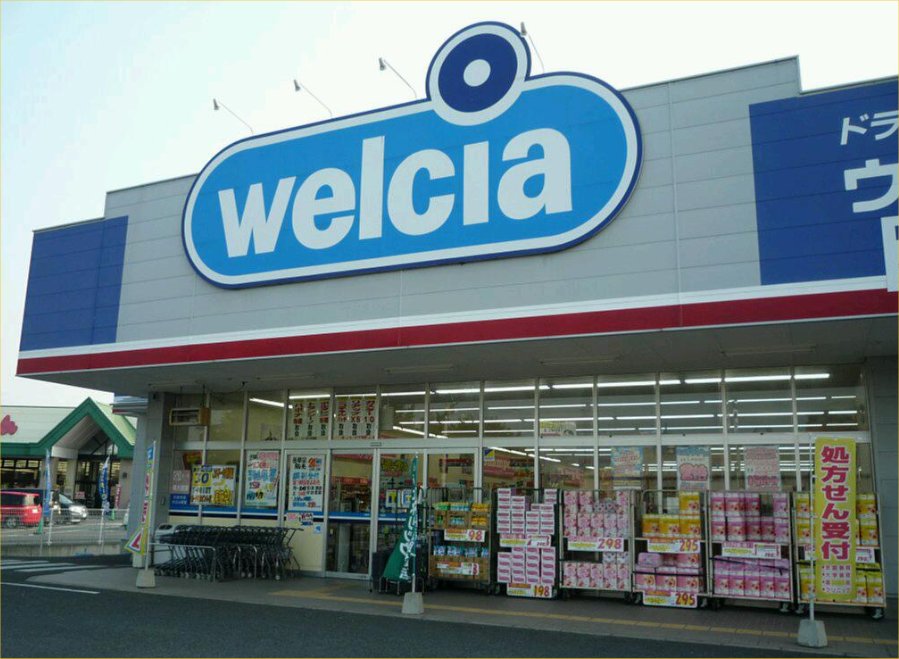 ドラックストア　ウエルシア小山羽川店（ドラッグストア）まで972m